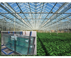 溫室玻璃-智能蔬菜玻璃溫室